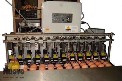 Nuovo Egg Printing and Egg Stamping Systems - Egg Jet Printer BAN1